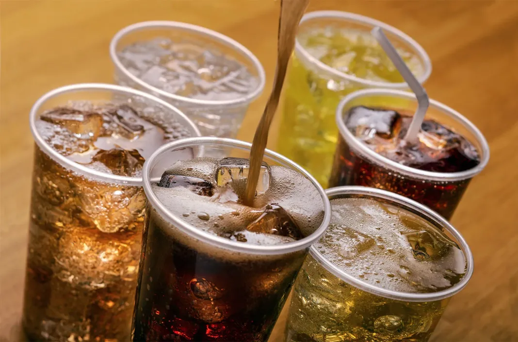 6 Effects of Carbonated Drinks on the Kidney