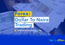 Naira Dollar