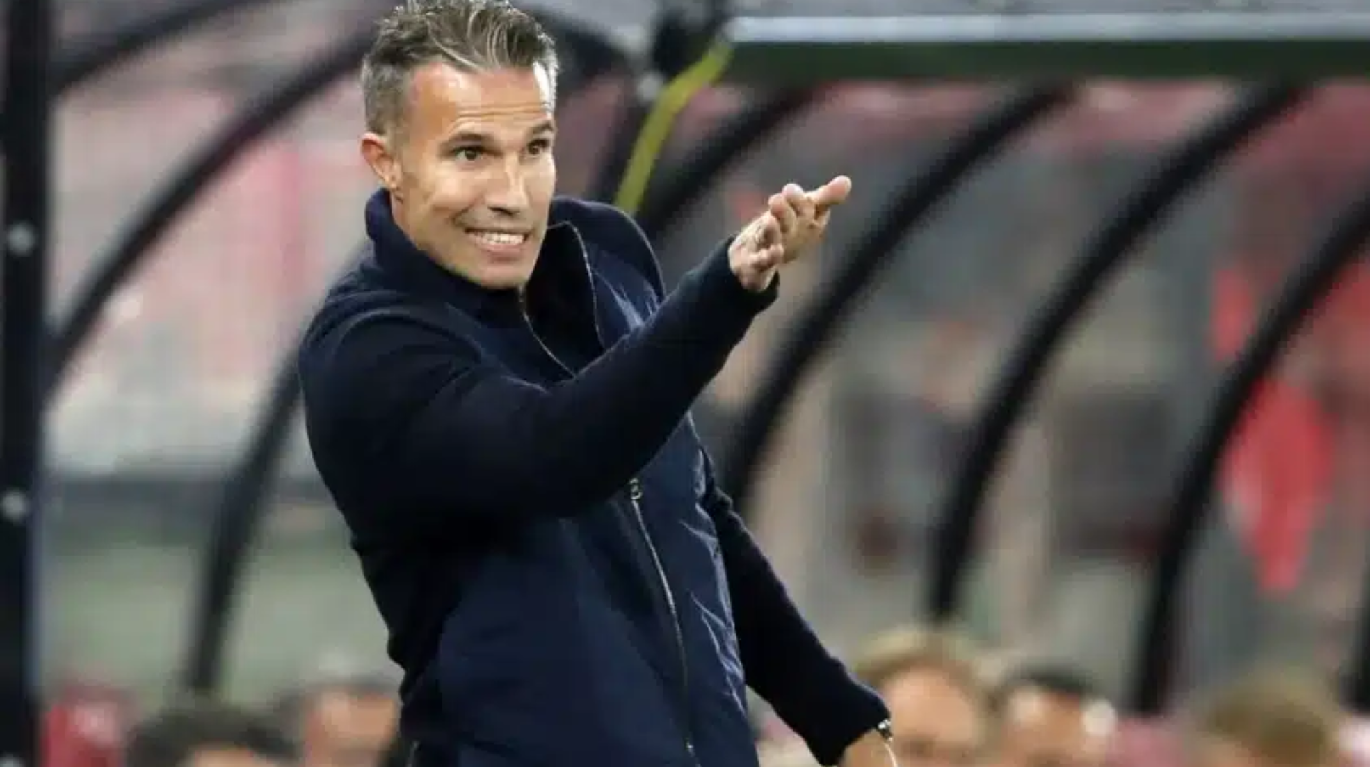 Robin